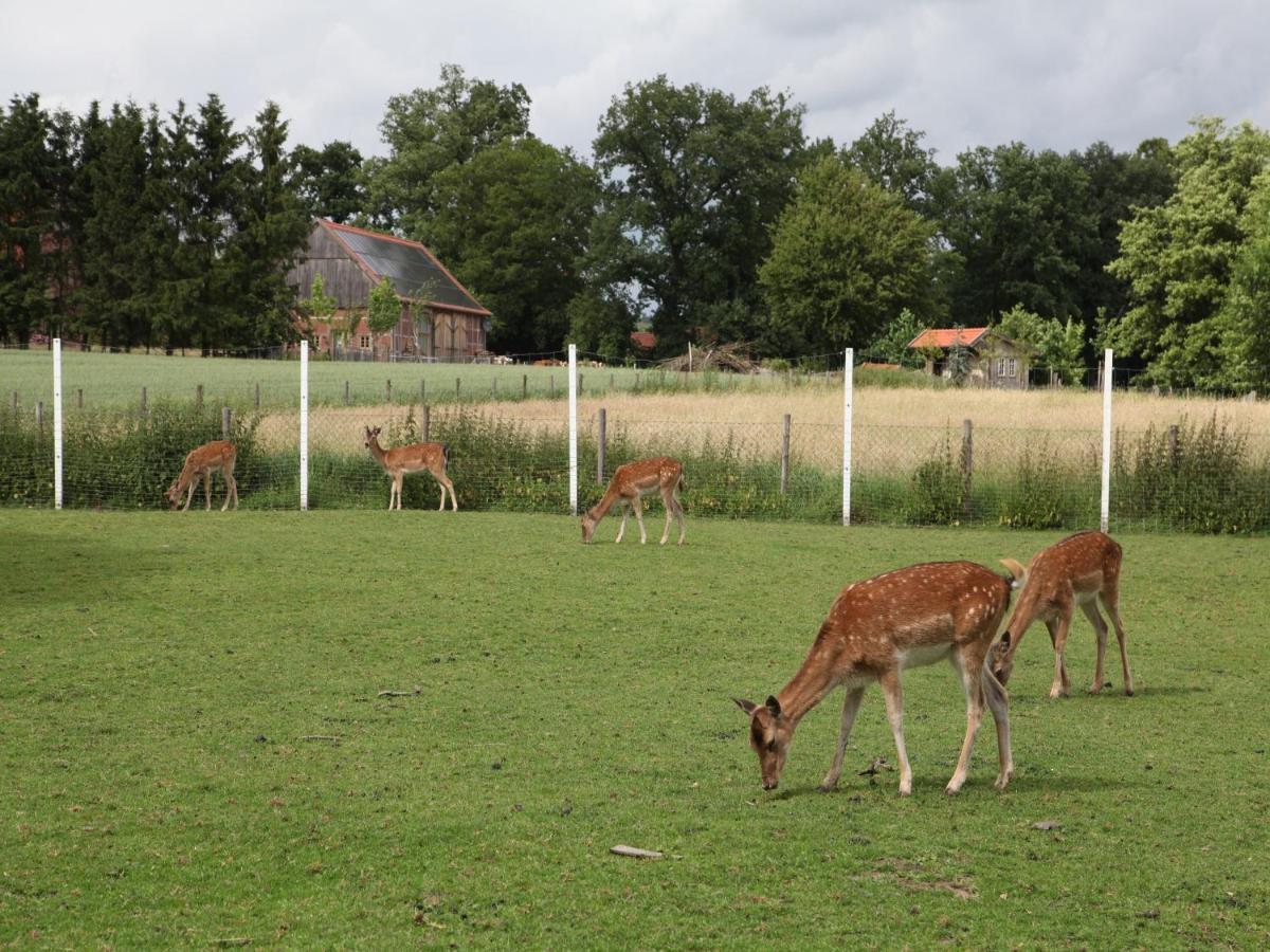 Gaeste Und Ferienhof Maas Dülmen Екстериор снимка